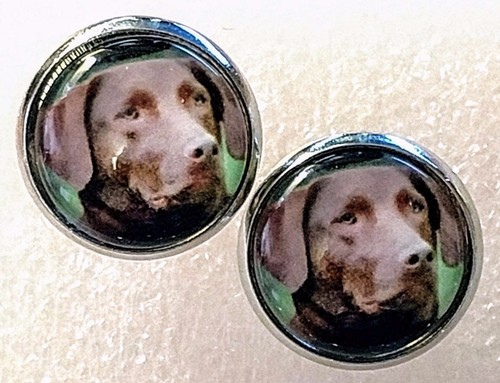 Weimaraner whippet spaniel - whippet,