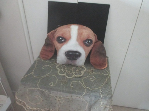 Expressions beagle dog plush - beagle,