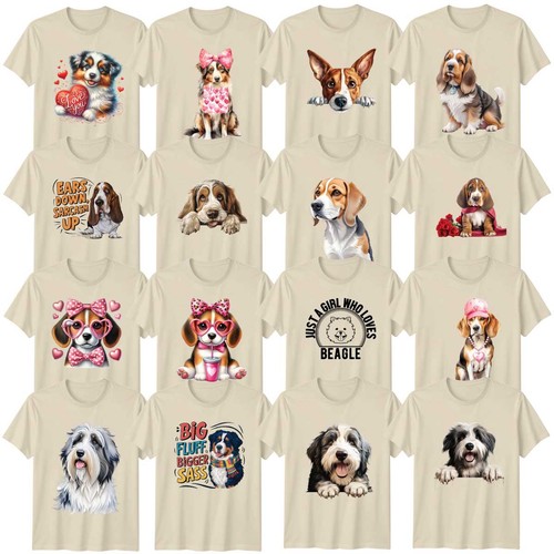 Cute dog adult - dog, beagle