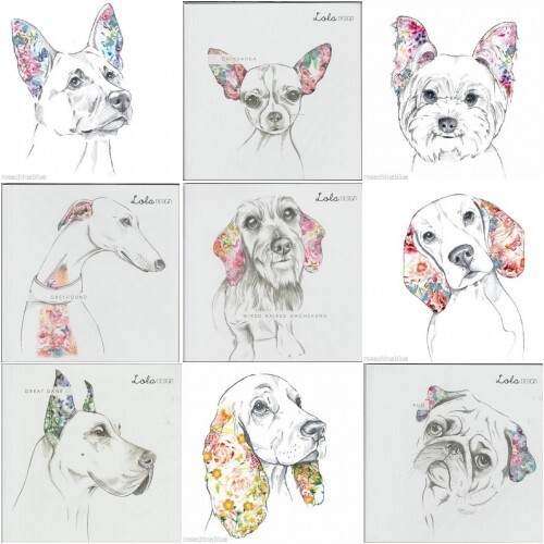 Lola design floral - design, dog