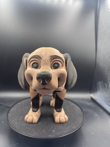 Barry the beagle - the, beagle!