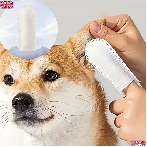Pet ear care - ear,
