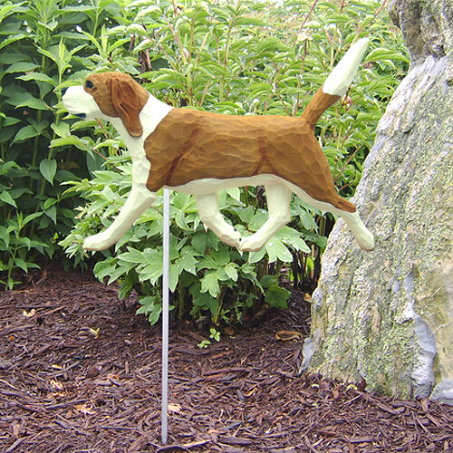 Beagle dig garden - beagle,