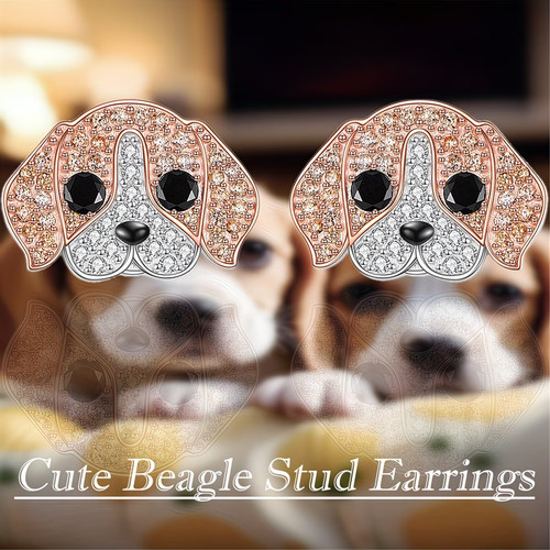 Exquisite beagle dog - beagle,