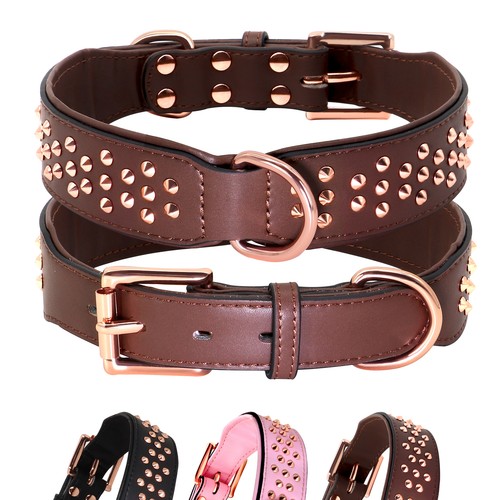 Spike dog collar wide - collar, pu