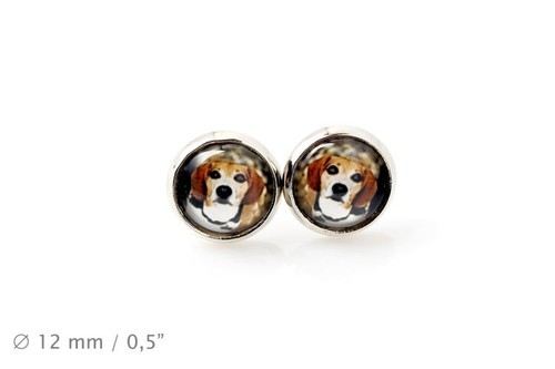 Beagle pet your - beagle., ear